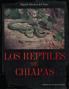 Image de couverture locale